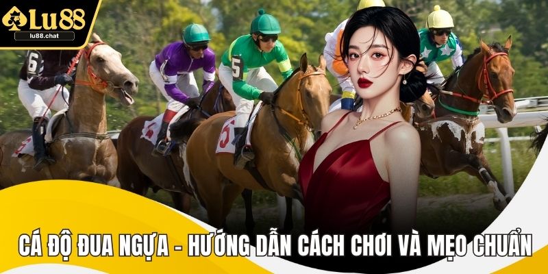 Cá Độ Đua Ngựa – Hướng Dẫn Cách Chơi Và Mẹo Chuẩn Xác
