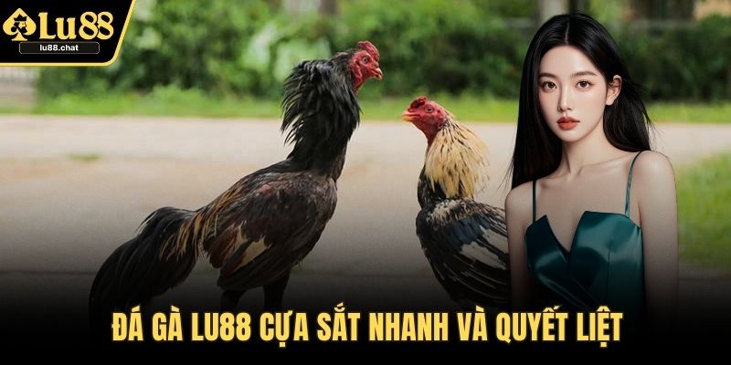 Đá gà LU88 cựa sắt nhanh và quyết liệt