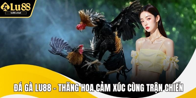 Đá Gà LU88 – Thăng Hoa Cảm Xúc Cùng Trận Chiến Đỉnh Cao