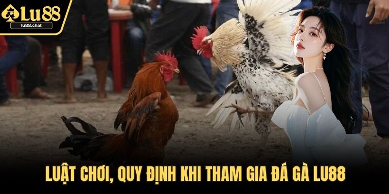 Luật chơi, quy định khi tham gia đá gà LU88