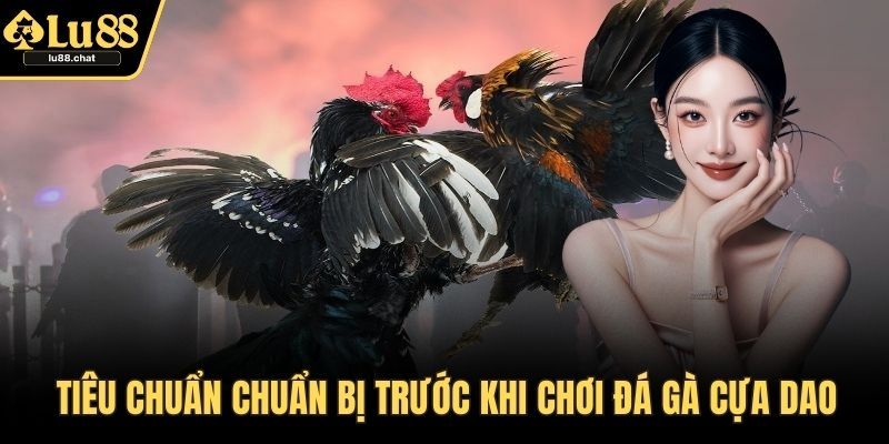 Tiêu chuẩn chuẩn bị trước khi chơi đá gà cựa dao