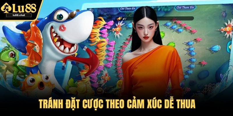 Tránh đặt cược theo cảm xúc dễ thua