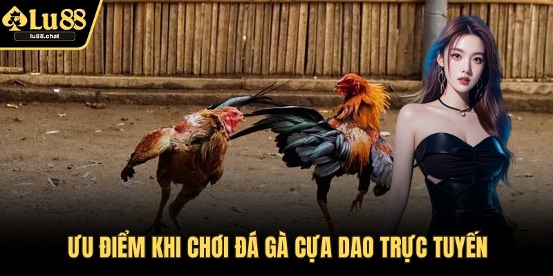 Ưu điểm khi chơi đá gà cựa dao trực tuyến